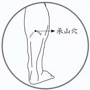 ​【每周一穴】承山穴：舒筋活络、理气止痛、赶走全身湿气！