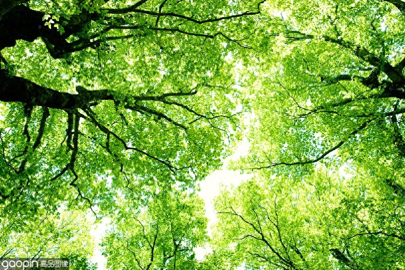 日本的长寿县之一,美丽又鲜氧——青森县