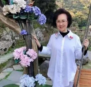 ​琼瑶去世后与平鑫涛分葬：情感纠葛与家庭恩怨的终结