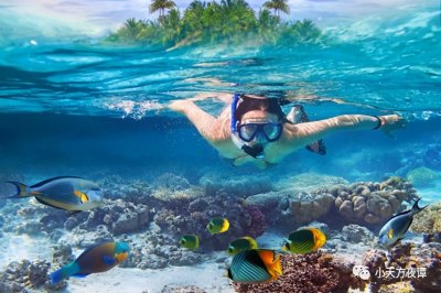 ​24分33秒，水下憋气新世界纪录！人的潜能有多大？视频为证