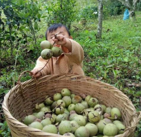 龙丹妮有没有结婚 龙丹妮的老公是谁?