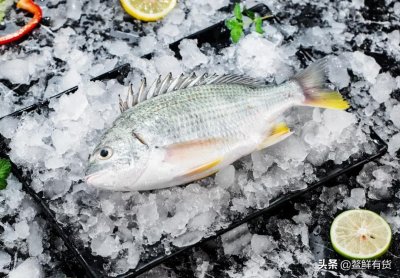 ​黄翅鱼，闽南地区的月子鱼，这种做法最好吃，简单又营养丰富