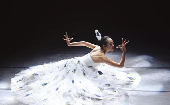 杨丽萍简历及个人资料简介（孔雀舞皇后杨丽萍近照）(23)