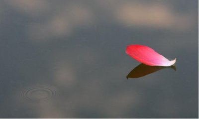 ​《相思莫相负》:你想要的诗意，生活里都有