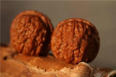 ​只认识狮子头、官帽？十分钟带你认全文玩核桃品类，快来收藏吧