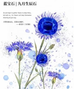 ​克什米尔蓝宝石—永恒的蓝色传说