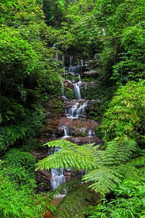 一起看看贵州赤水六大景点,赤水山川秀丽,素有千瀑之市的美誉