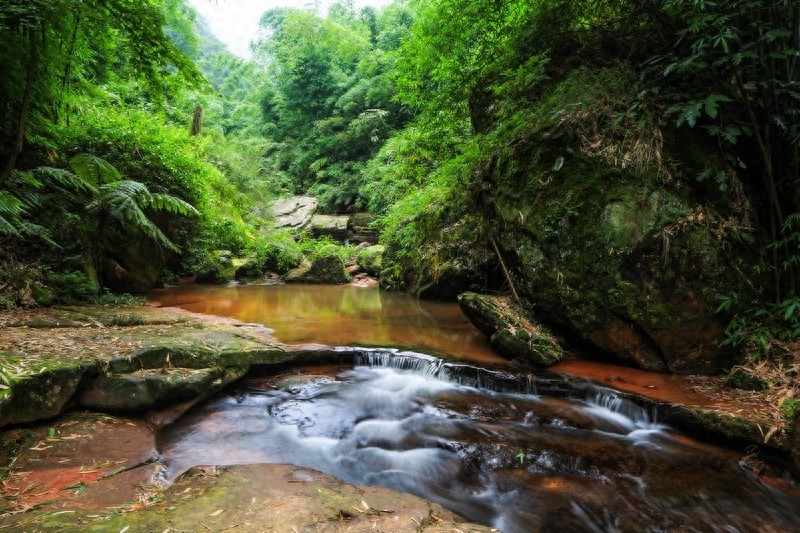 一起看看贵州赤水六大景点,赤水山川秀丽,素有千瀑之市的美誉