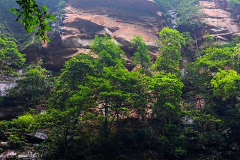 一起看看贵州赤水六大景点,赤水山川秀丽,素有千瀑之市的美誉