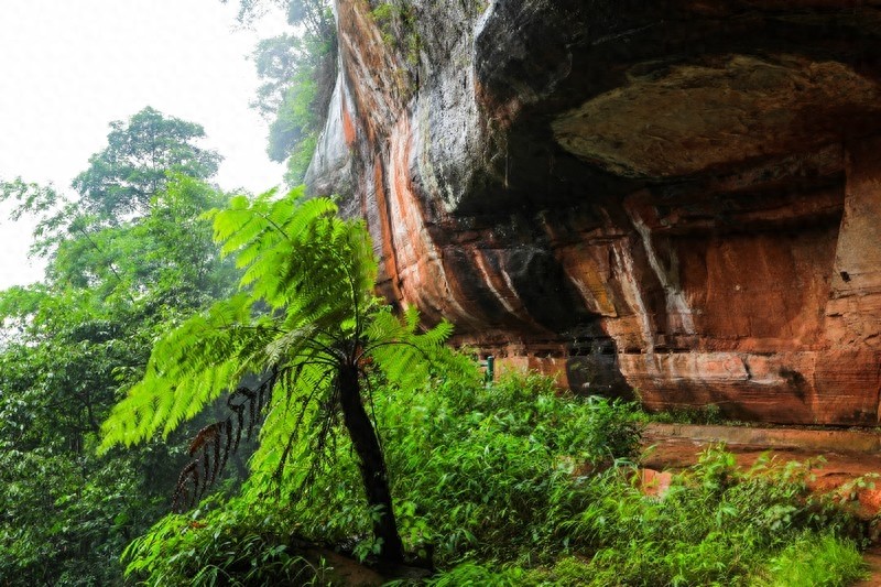 一起看看贵州赤水六大景点,赤水山川秀丽,素有千瀑之市的美誉