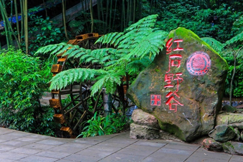 一起看看贵州赤水六大景点,赤水山川秀丽,素有千瀑之市的美誉