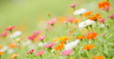 ​男人为何不交钱给妻子管？现实原因揭秘！