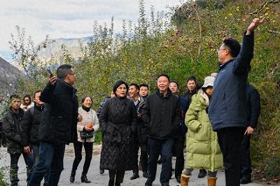 ​成都企业实地考察甘孜，签下超两千万元大单 成都“菜篮子”再添新品