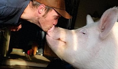 ​2023年泰国男子爱上母猪，不顾反对和母猪结婚，婚后夫妻生活幸福