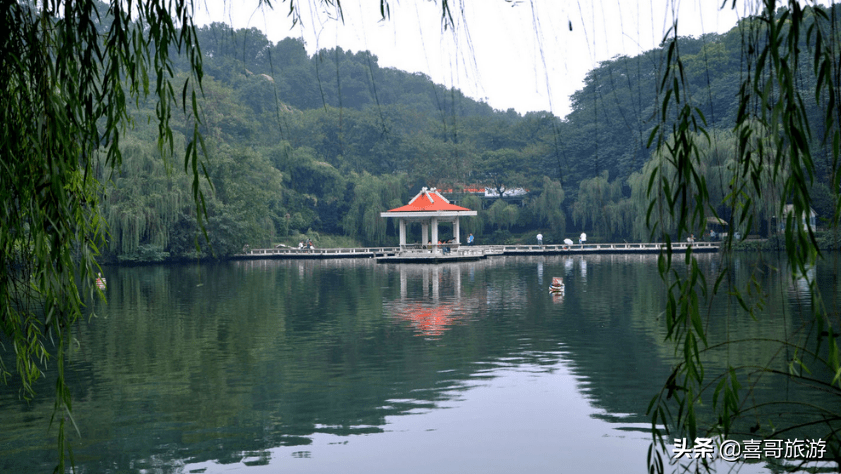 大安区属于哪个市(四川大安区属于哪个市)