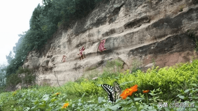 大安区属于哪个市(四川大安区属于哪个市)