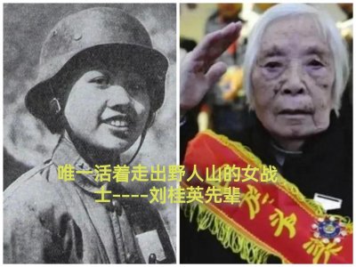 ​野人山——中国远征军不愿回首的地方