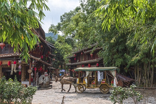 旅途见闻—云南（文山-普者黑风景区）