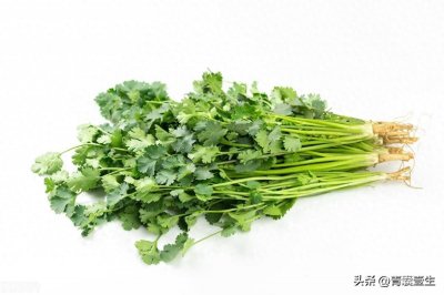 ​每日学本草——胡荽