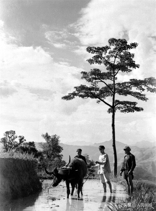 跨越，从原始社会直接进入到社会主义的苦聪人