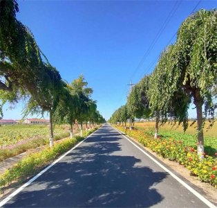 ​为什么说阅读学习能改变人的命运