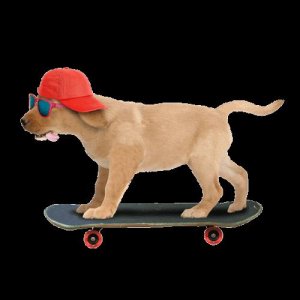 ​世界滑板日：占领的不仅是街道，抢回的还有属于你的“地盘”