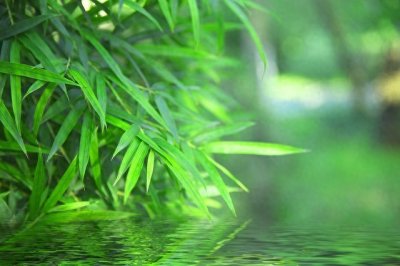 ​“他强任他强，清风拂山岗”出自哪里？是什么意思？