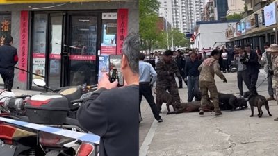 ​南昌野猪伤人事件：城市与自然的碰撞