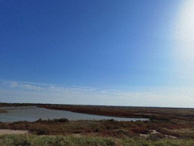 ​东营属于鲁北吗：全方位解读东营的地理、历史与文化