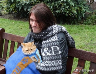 ​流浪猫鲍勃去世了，它帮主人戒掉毒瘾，拍成电影后感动全世界