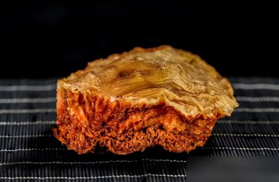 ​什么是太岁，不是植物不是动物的一坨“肉”，为什么能价值百万？