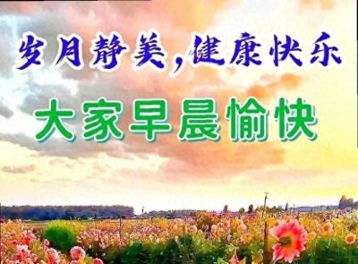 ​精选早安祝福2024-01-25创意表情包图片带字带问候语录