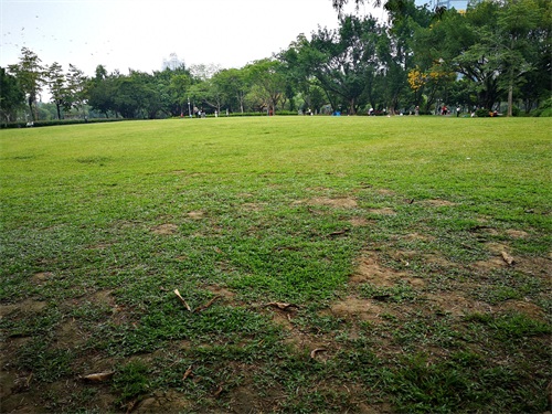 洪湖公园,位于深圳市罗湖区,是一个以荷花为主题,属市级公园。