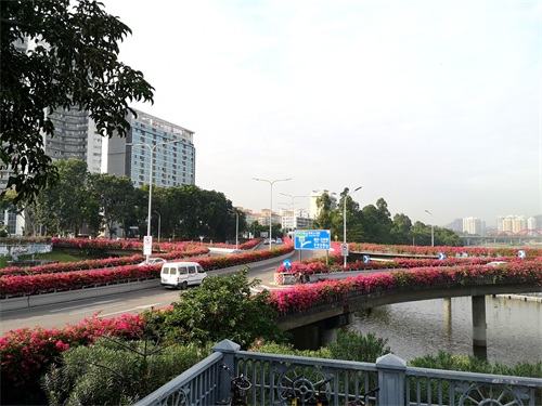 洪湖公园,位于深圳市罗湖区,是一个以荷花为主题,属市级公园。