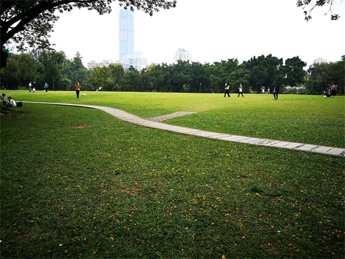 洪湖公园,位于深圳市罗湖区,是一个以荷花为主题,属市级公园。