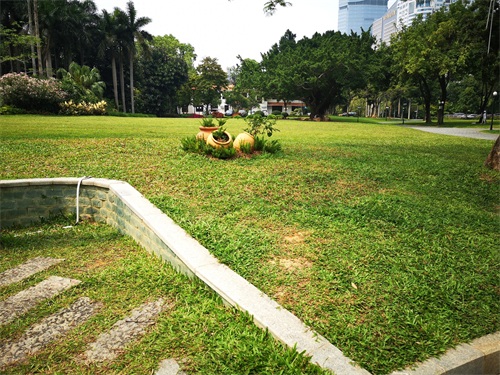 洪湖公园,位于深圳市罗湖区,是一个以荷花为主题,属市级公园。