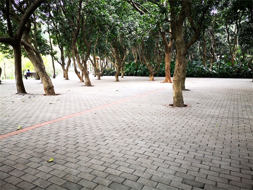 洪湖公园,位于深圳市罗湖区,是一个以荷花为主题,属市级公园。