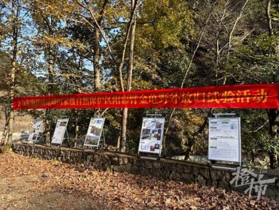 ​首次野外放归！浙江清凉峰扩大濒危物种“阳彩臂金龟”种群