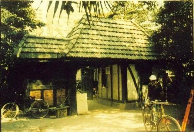 广州中山公园里有哪些景点（中山公园正在慢慢）(6)