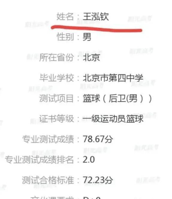 王艳儿子球球保送前篮球水平如何？
