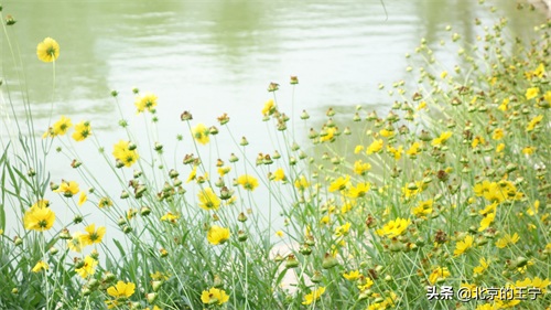 “静之湖”闲暇时可以去转转（京郊游）