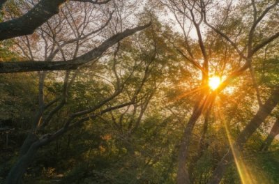 ​焦作青龙峡景点攻略：探秘大自然的鬼斧神工