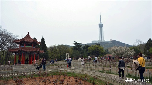魅力辽宁 | 春暖花开时节里走进大连市劳动公园