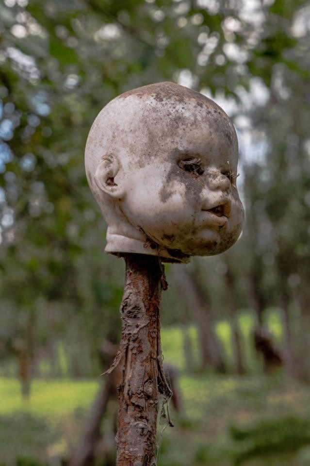 实拍墨西哥“鬼娃岛”:遍布一千多个“鬼娃娃”,吸引着大量游客