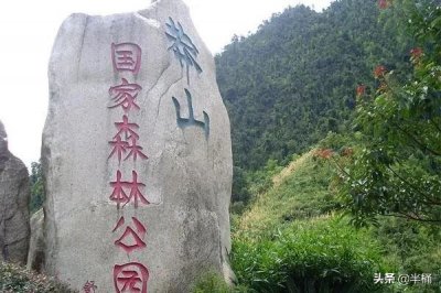 ​被称为“蛇中熊猫”的莽山烙铁头，凭什么一条价值上百万？