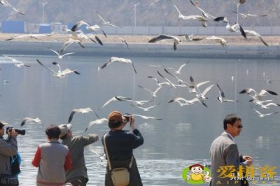 ​ 大连旅游必去景点(大连自由行最好玩的十大景点排名)