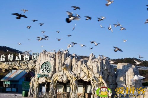 大连旅游必去景点(大连自由行最好玩的十大景点排名)插图5