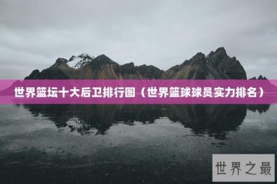​世界篮坛十大后卫排行图（世界篮球球员实力排名）