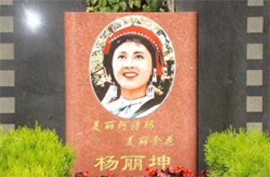 杨丽坤简历及个人资料（杨丽坤演过的电影有哪些）-