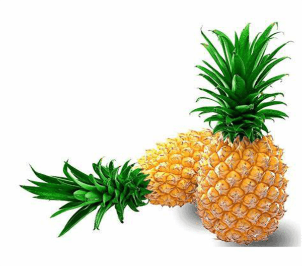 台湾盛产的水果有哪些(台湾9种特色水果)